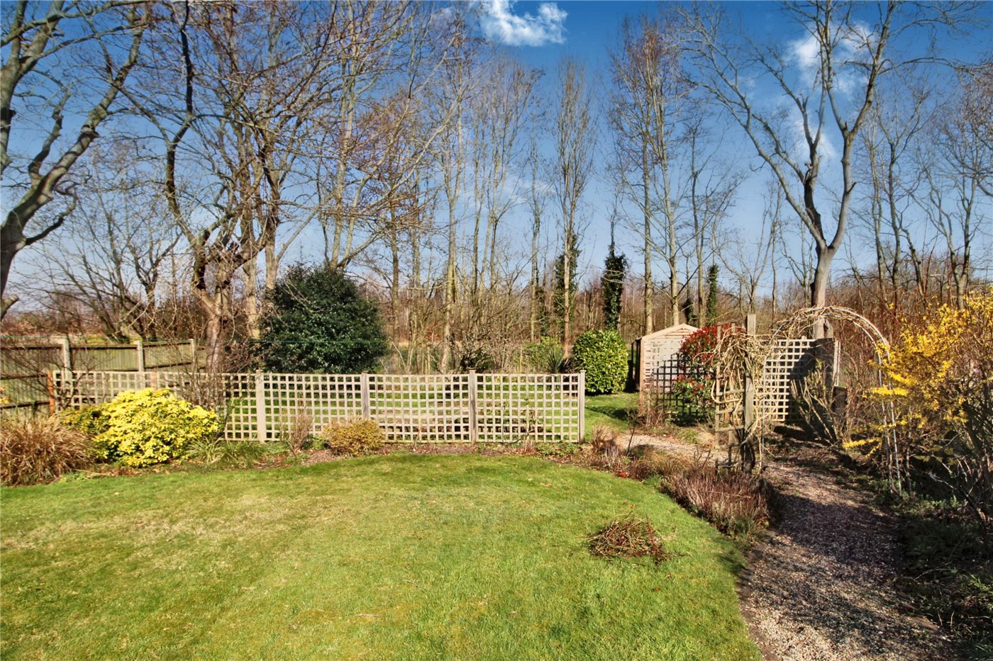 Garden